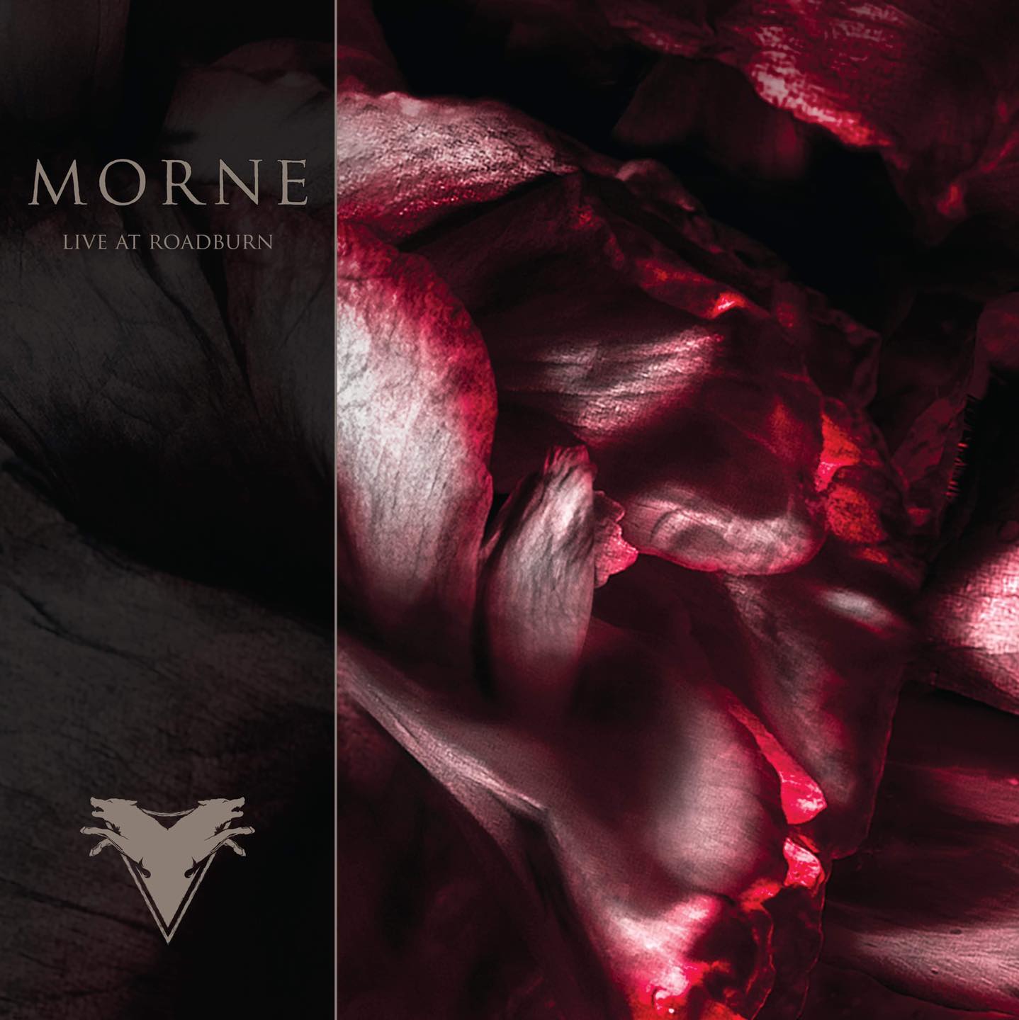 MorneLive