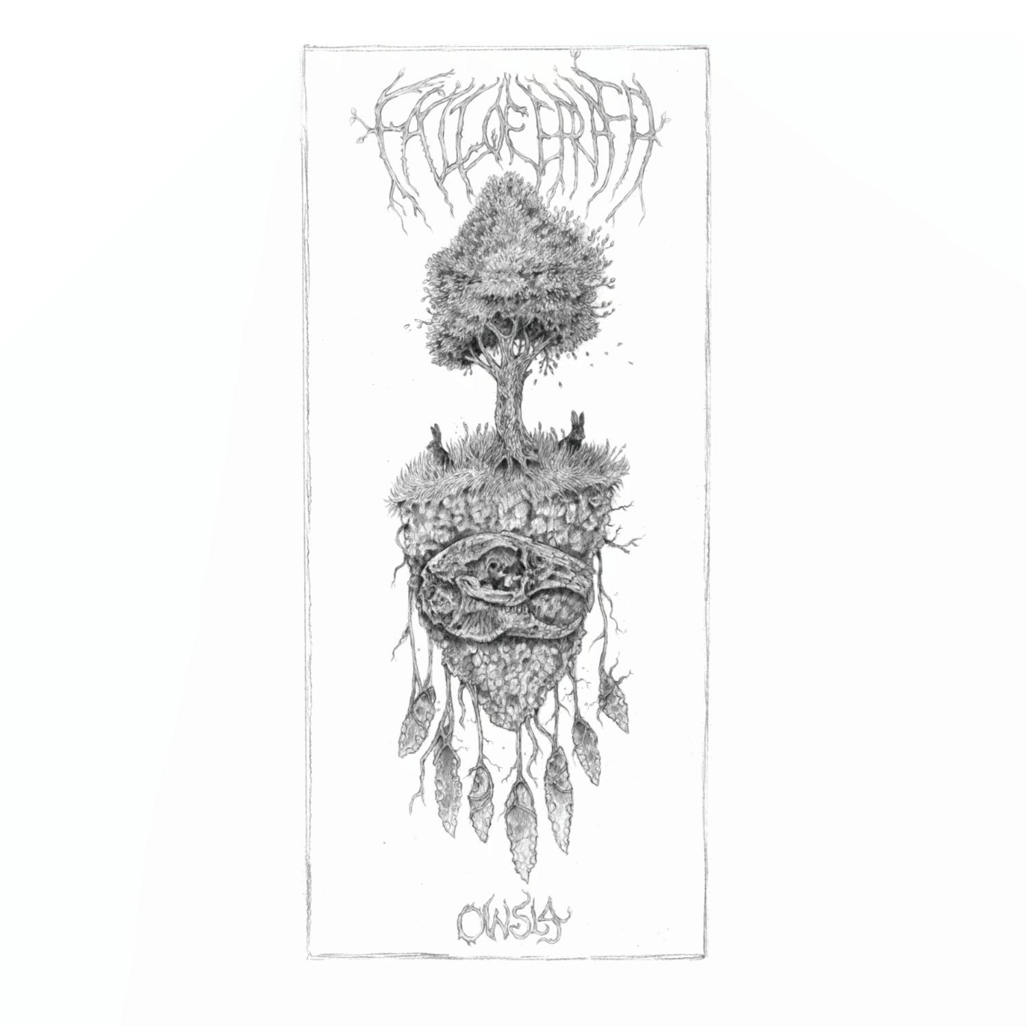 AA40-Owsla-8-Pressung Fall Of Efrafa - Owsla LP (3. Versions)