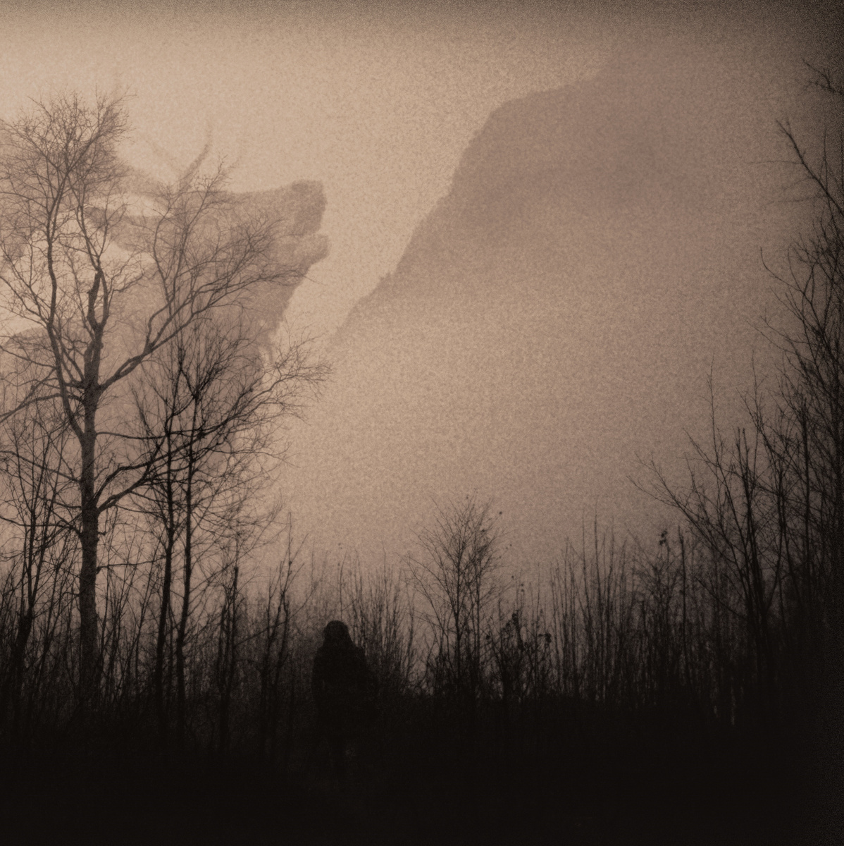 Antlers - A Gaze Into The Abyss CD