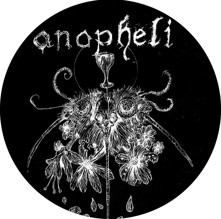anopheliajTb9J4PoHJGC Anopheli - Button
