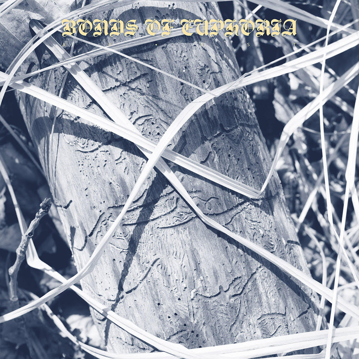 Abest - Bonds Of Euphoria LP