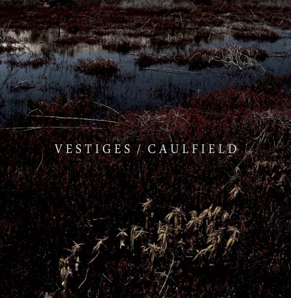Vestiges / Caulfield - Split EP