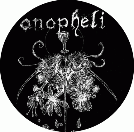Anopheli - Button