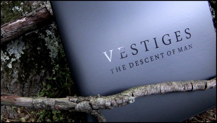 Vestiges - The Descent Of Man 2xLP