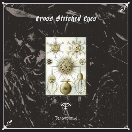 Cross Stitched Eyes - Decomposition LP (weißes Vinyl)