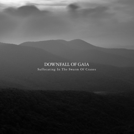 Downfall Of Gaia - Suffocating In The Swarm Of Cranes CD