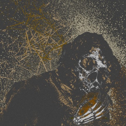 Vermin Womb - Decline LP